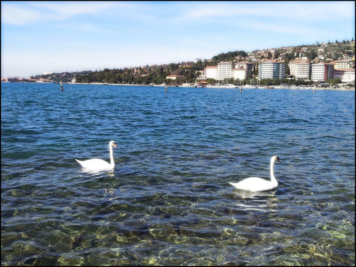 Casa Vacanze Enjoy Pirano Dış mekan fotoğraf
